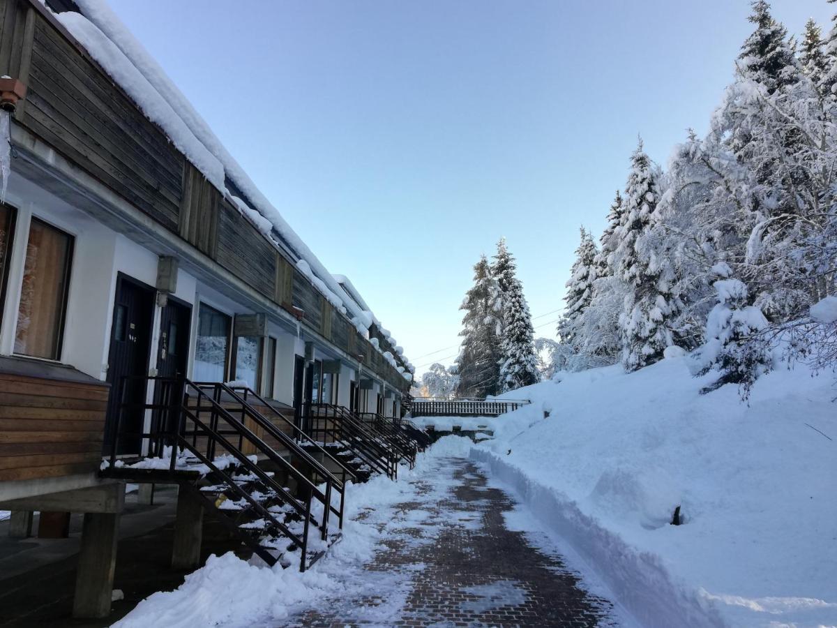 Apartment Copai Mezzana (Trentino Alto Adige)