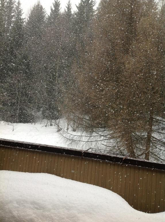 Copai Mezzana (Trentino Alto Adige)